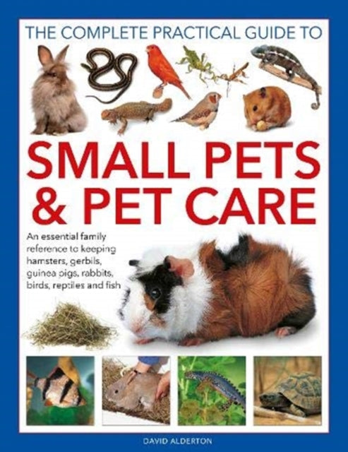 Small Pets and Pet Care, The Complete Practical Guide to : An essential family reference to keeping hamsters, gerbils, guinea pigs, rabbits, birds, reptiles and fish-9780754835325