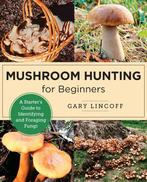 Mushroom Hunting for Beginners : A Starter's Guide to Identifying and Foraging Fungi-9780760383926
