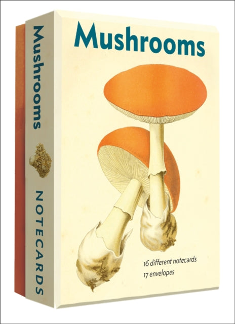 Mushrooms Detailed Notecard Set-9780789254634