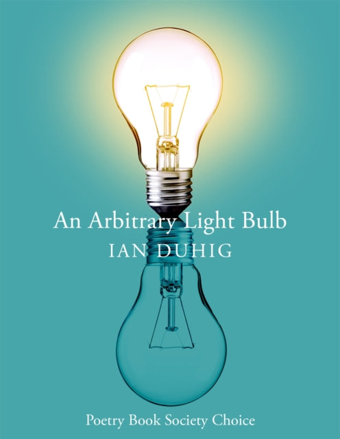 An Arbitrary Light Bulb-9781035033201