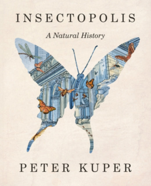 Insectopolis : A Natural History-9781324035718