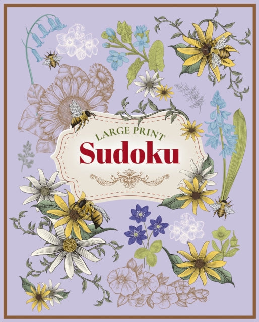 Large Print Sudoku-9781398805262