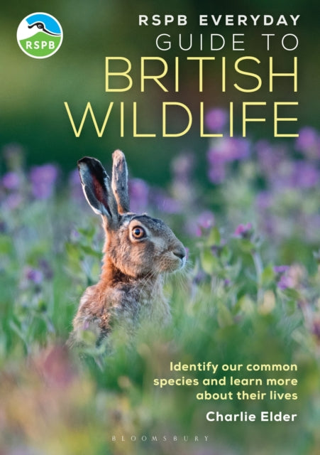 RSPB Everyday Guide to British Wildlife : Identify our common species and learn more about their lives-9781399413329