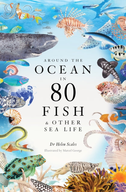 Around the Ocean in 80 Fish and other Sea Life-9781399602785