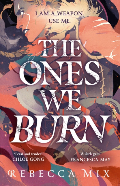 The Ones We Burn : the New York Times bestselling dark epic young adult fantasy-9781399706254