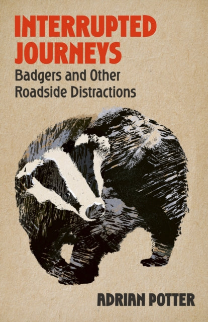 Interrupted Journeys : Badgers and Other Roadside Distractions-9781399822404