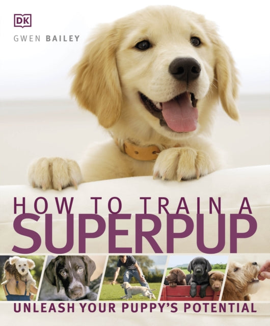 How to Train a Superpup : Unleash your puppy's potential-9781405363099