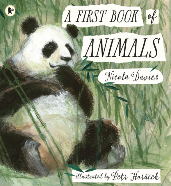 A First Book of Animals-9781406378122