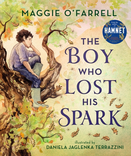 The Boy Who Lost His Spark-9781406392012