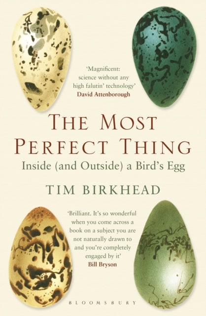 The Most Perfect Thing : Inside (and Outside) a Bird's Egg-9781408851272
