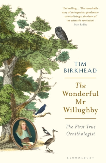 The Wonderful Mr Willughby : The First True Ornithologist-9781408878521