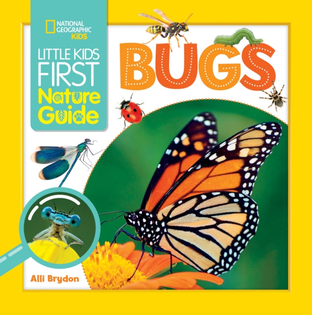 Little Kids First Nature Guide Bugs-9781426371493