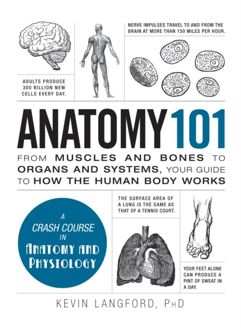 Anatomy 101 : From Muscles and Bones to Organs and Systems, Your Guide to How the Human Body Works-9781440584268