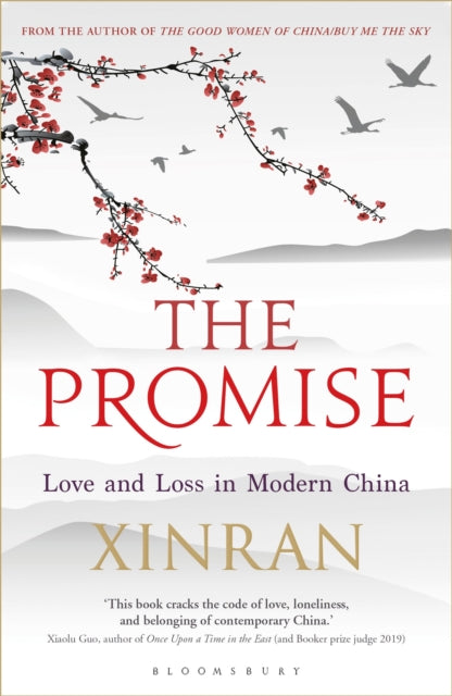 The Promise : Love and Loss in Modern China-9781448217892