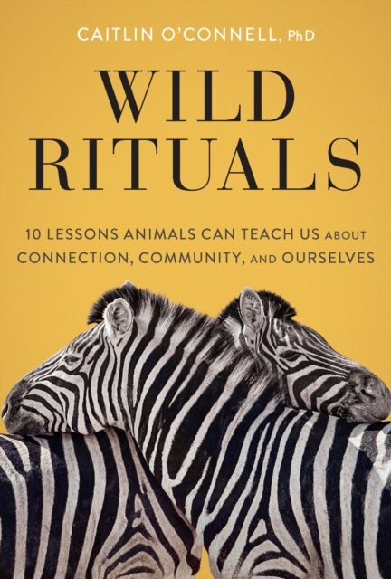 Wild Rituals : 10 Lessons Animals Can Teach Us About Connection, Community, and Ourselves-9781452184852