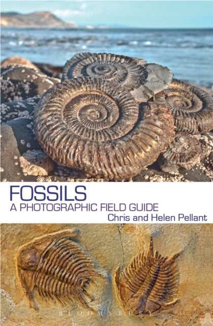 Fossils : A Photographic Field Guide-9781472933331