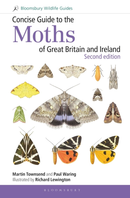 Concise Guide to the Moths of Great Britain and Ireland: Second edition-9781472957283