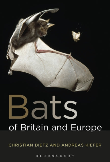 Bats of Britain and Europe-9781472963185