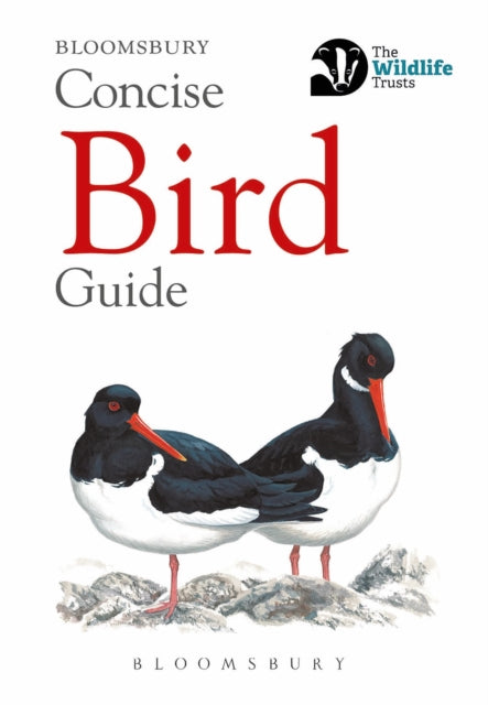 Concise Bird Guide-9781472963758