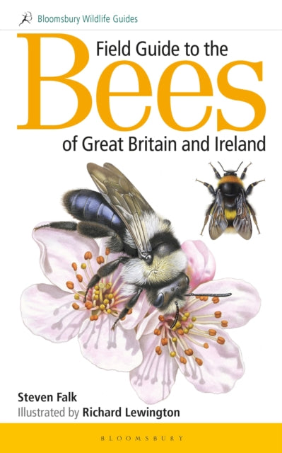 Field Guide to the Bees of Great Britain and Ireland-9781472967053