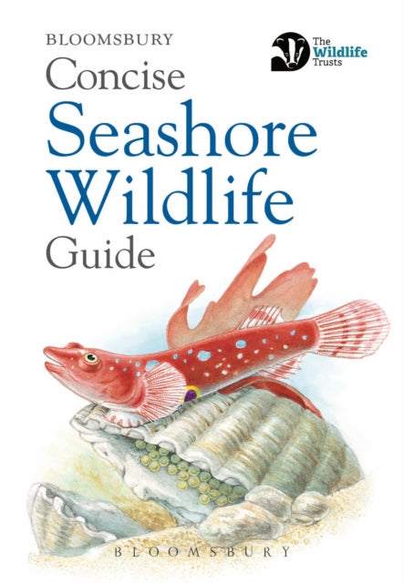 Concise Seashore Wildlife Guide-9781472968296