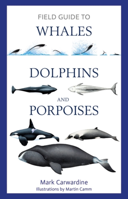 Field Guide to Whales, Dolphins and Porpoises-9781472969972