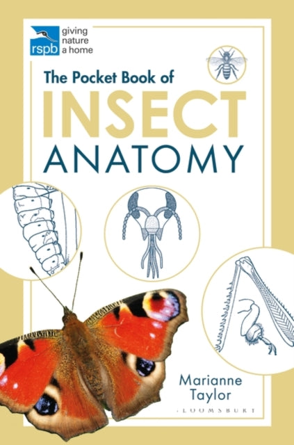 The Pocket Book of Insect Anatomy-9781472976871