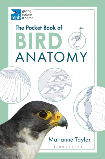 The Pocket Book of Bird Anatomy-9781472976925