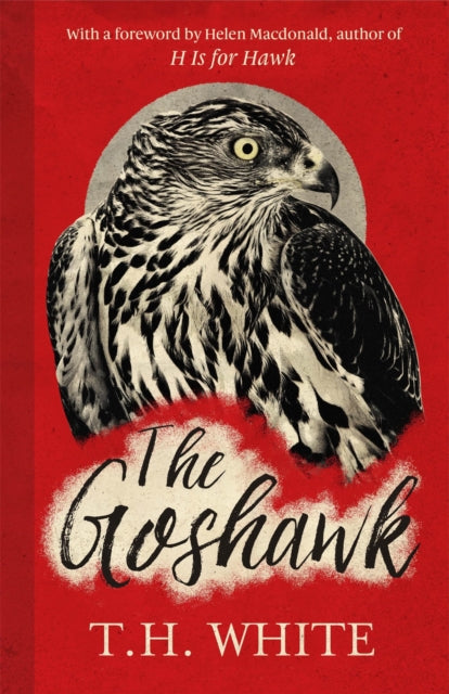 The Goshawk : With a new foreword by Helen Macdonald-9781474601665
