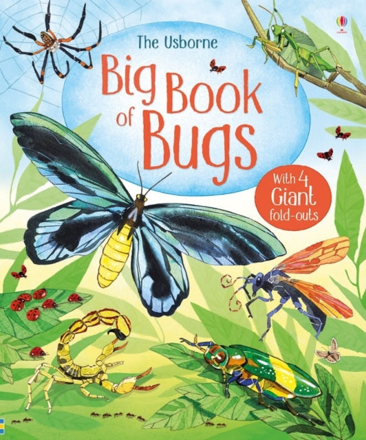 Big Book of Big Bugs-9781474928960