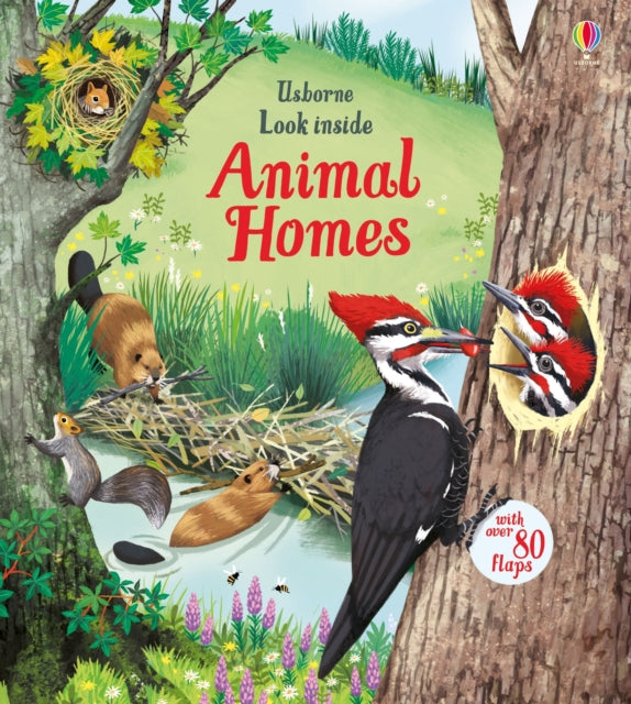 Look Inside Animal Homes-9781474942928