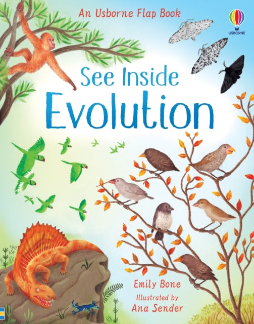 See Inside Evolution-9781474952798