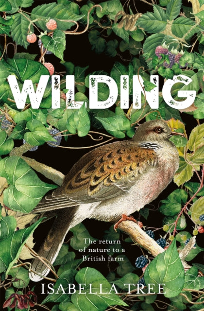Wilding : The Return of Nature to a British Farm-9781509805099