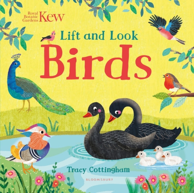 Kew: Lift and Look Birds-9781526636843