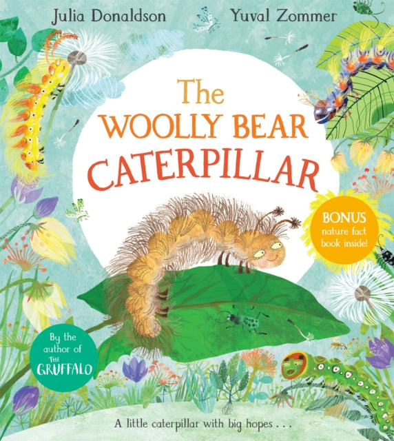 The Woolly Bear Caterpillar-9781529012187