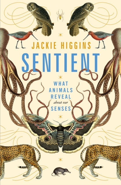 Sentient : What Animals Reveal About Our Senses-9781529030778