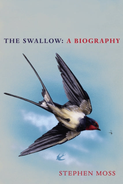 The Swallow : A Biography (Shortlisted for the Richard Jefferies Society and White Horse Bookshop Literary Award)-9781529110265