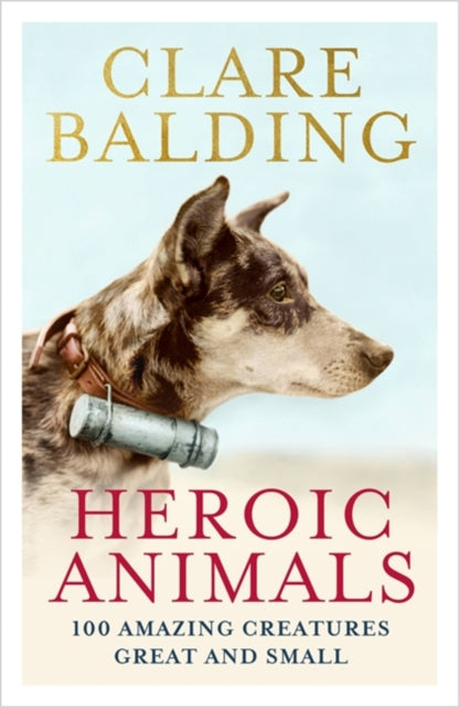 Heroic Animals : Amazing Creatures that Changed Our World-9781529343847