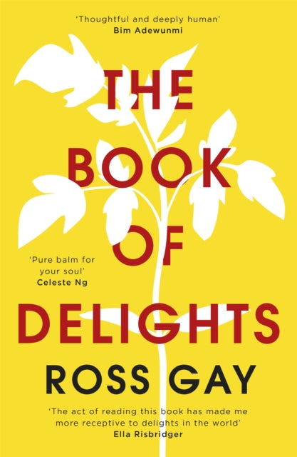 The Book of Delights : The life-affirming New York Times bestseller-9781529349771