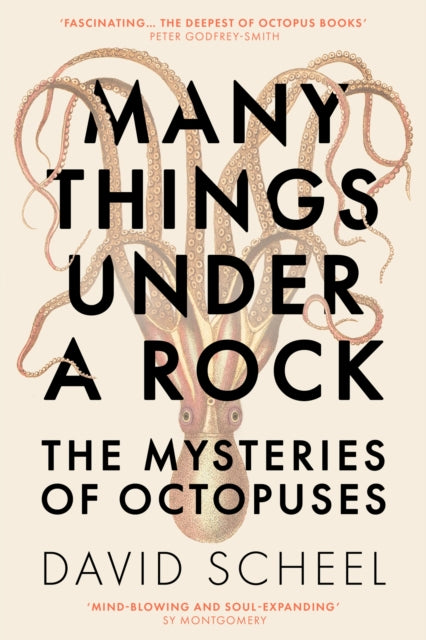 Many Things Under a Rock : The Mysteries of Octopuses-9781529392609