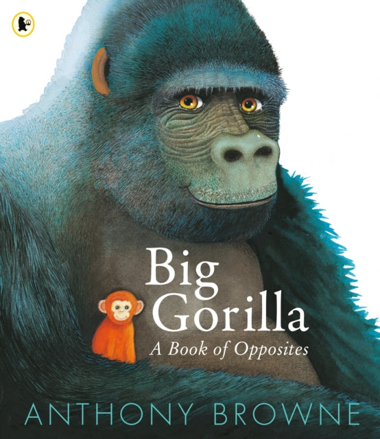 Big Gorilla: A Book of Opposites-9781529523713