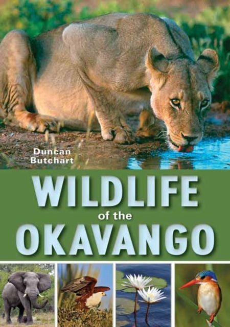 Wildlife of the Okavango-9781775843382