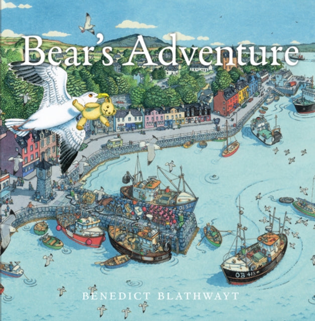 Bear's Adventure-9781780273655