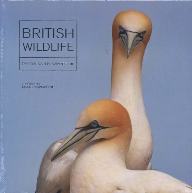 British Wildlife Photography Awards 10-9781781453759