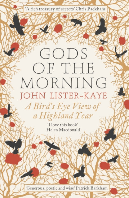 Gods of the Morning : A Bird's Eye View of a Highland Year-9781782114178