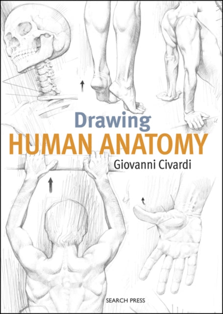 Drawing Human Anatomy-9781782216056