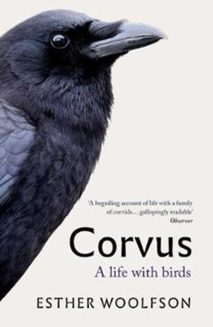 Corvus : A Life With Birds-9781783784486