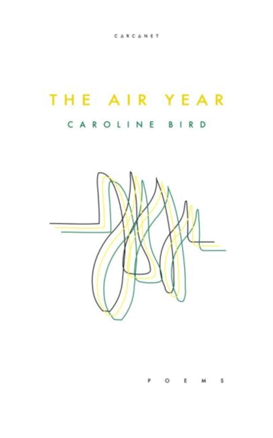 The Air Year-9781784109028