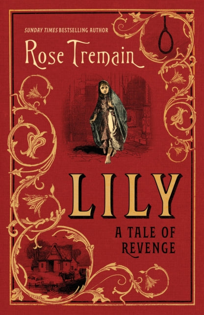 Lily : A Tale of Revenge from the Sunday Times bestselling author-9781784744564