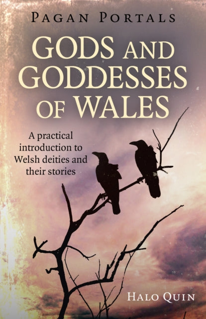 Pagan Portals - Gods and Goddesses of Wales - A practical introduction to Welsh deities and their stories-9781785356216